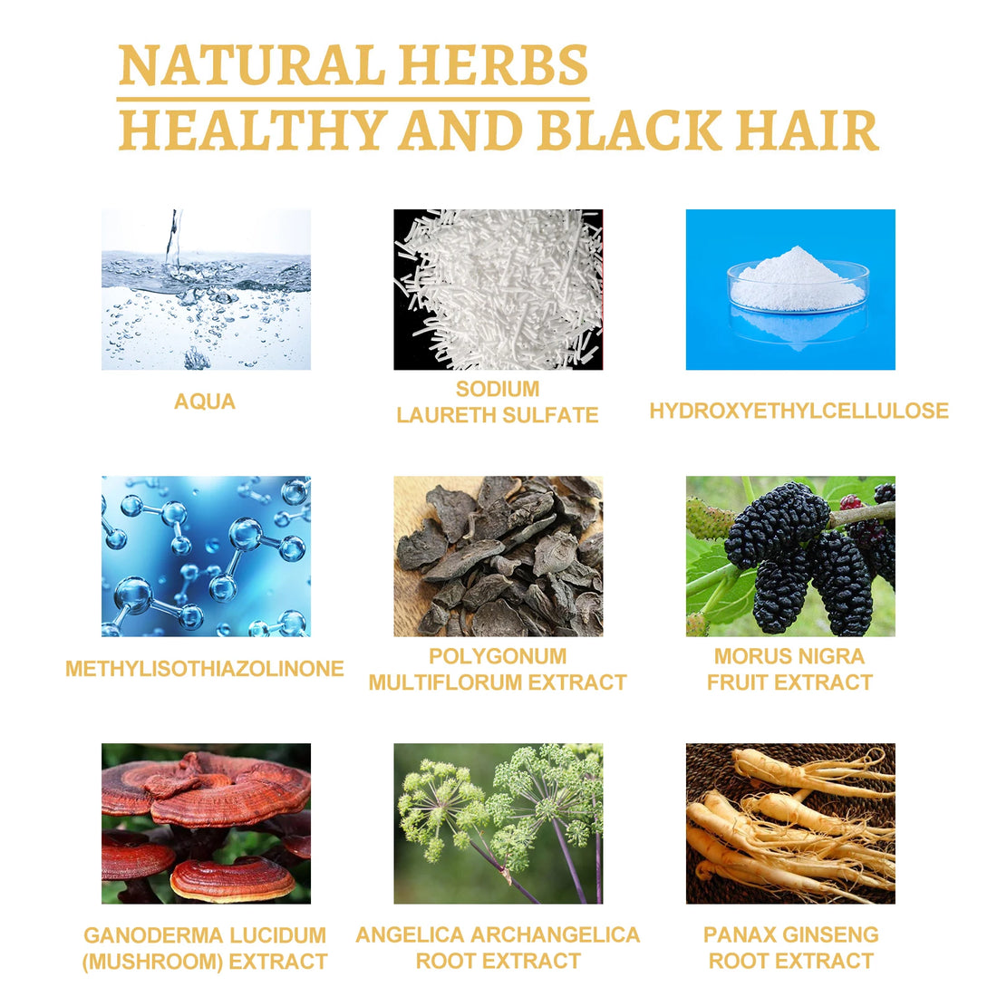 Black Ganoderma Hair Essence – Scalp & Follicle Care